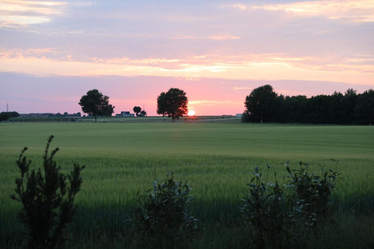 Amarksgard Guesthouse Lille Skensved ภายนอก รูปภาพ